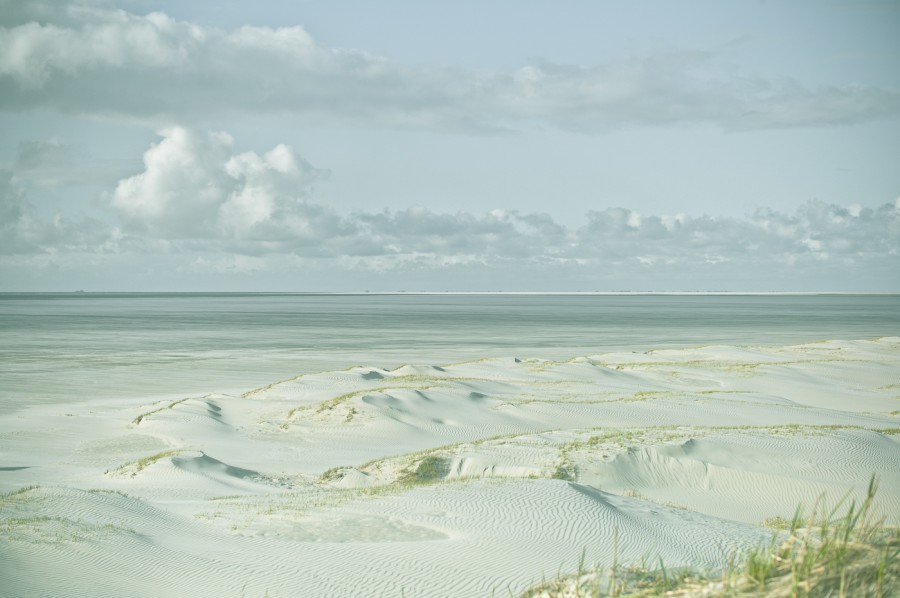 White Beach Dünen #2